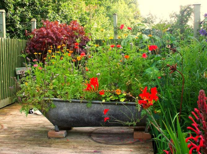 Gợi ý các ý tưởng thiết kế sân vườn đẹp
